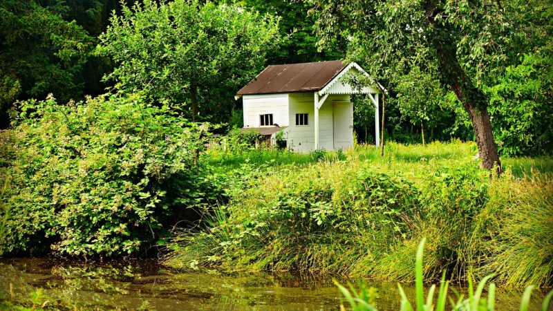 Tiny house wetten in België